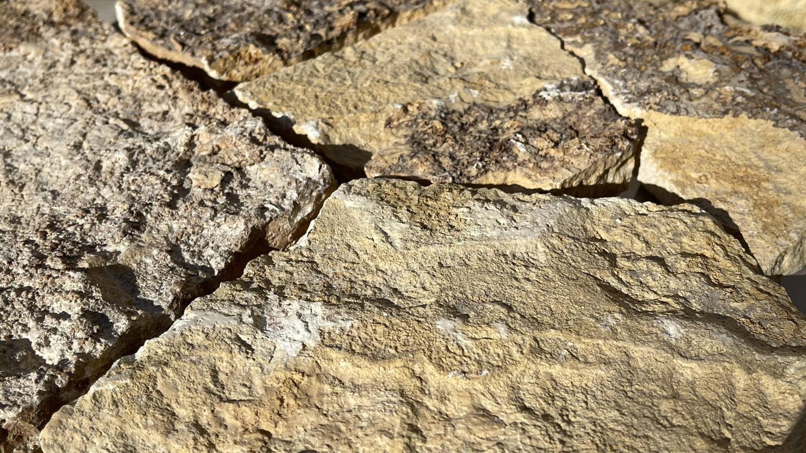 Vente et pose de pavage en pierres naturelles pour vos allées, chemins, entrées et espaces publics  Bordeaux et la Nouvelle-Aquitaine (33)