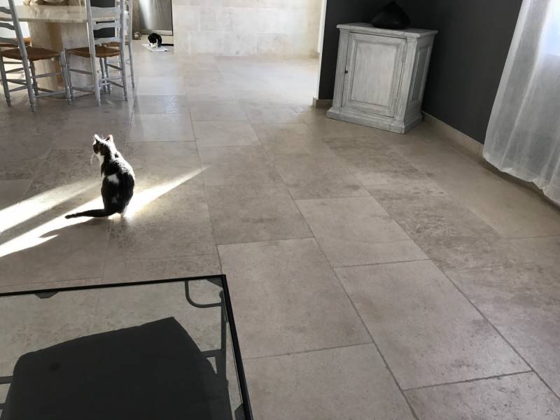 Dallage pierre La pierre naturelle au 36 rue de Bourgogne 75007 PARIS