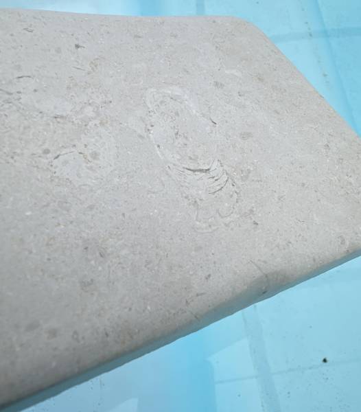 Découvrez les pierres naturelles françaises de qualité pour vos projets : Mareuil, Sainte-Croix-de-Mareuil, Balzac, Créma Luna, Pierre du Périgord, Pierre de Dordogne