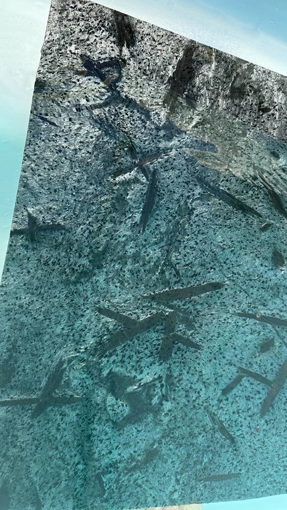 Pierre de Bali Naturelle : Dalles et Margelles de Piscine. Livraison partout en France, y compris à Aix-en-Provence, Marseille